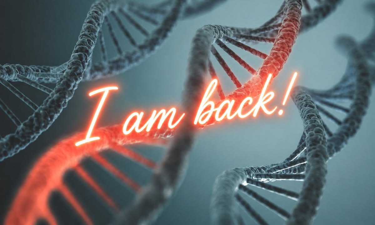 DNA Hulp